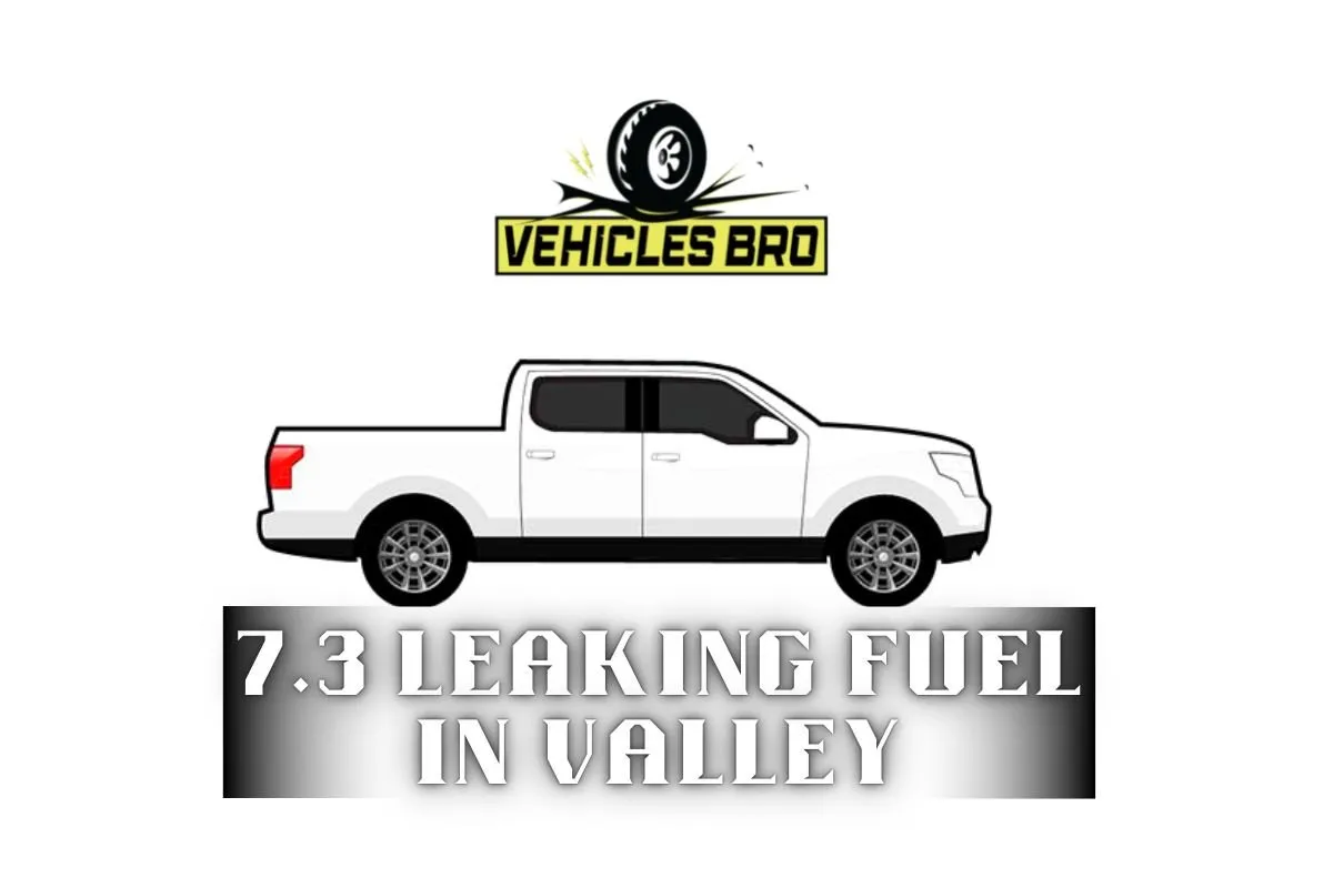7.3 Leaking Fuel In Valley